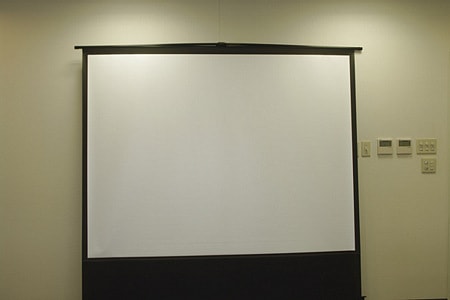 Screen