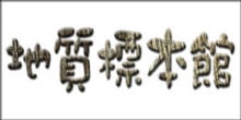 Geological Museum Web image