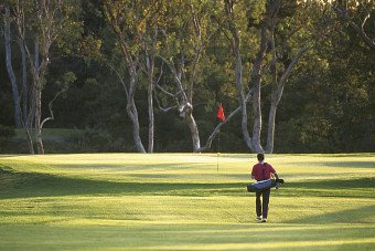 ゴルフコース　イメージ